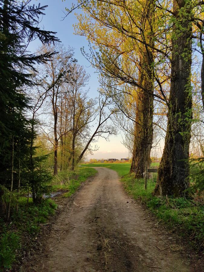 Pokoje Pod Bocianem Chocholow Kültér fotó